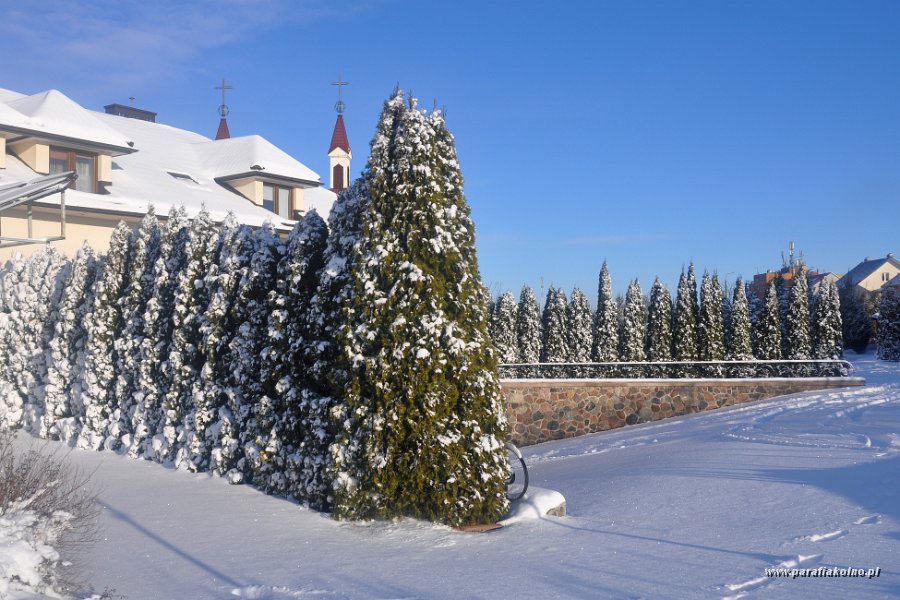 18 Zima w ogrodzie.jpg